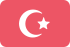 Türkçe dil